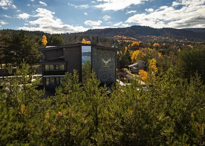 Brentas Hotel Tsigov Chark